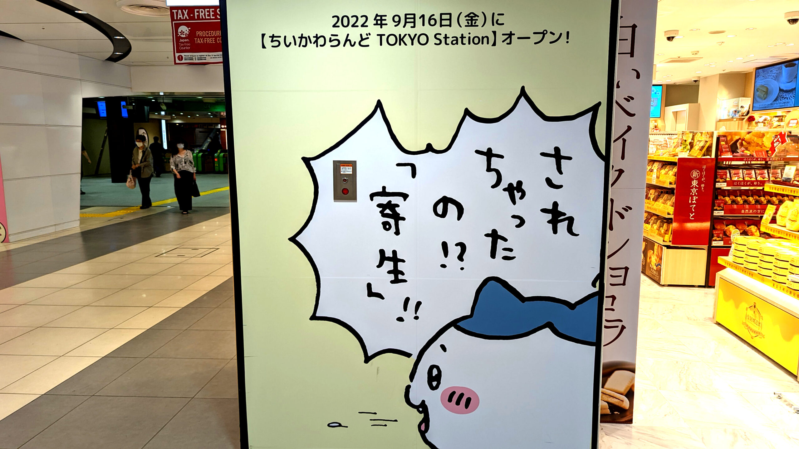 されちゃったの！？